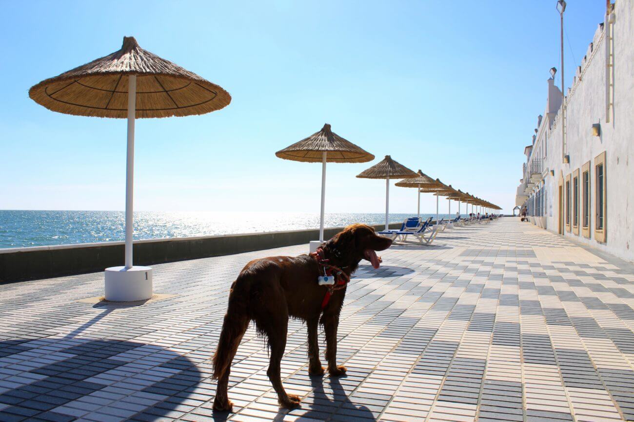 Hotel am Strand von Rota
