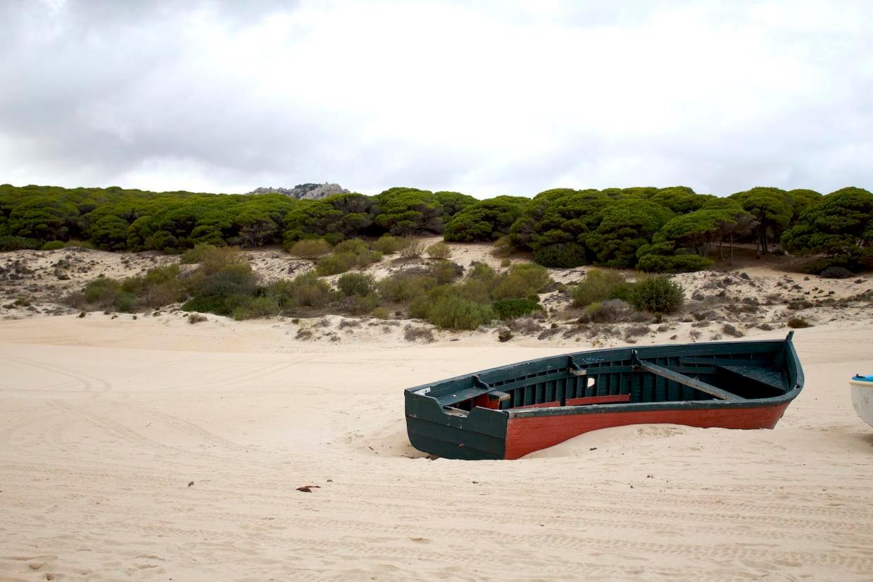 Bolonia Fischerboot aus Holz am Strand und Kiefern im Hintergrund